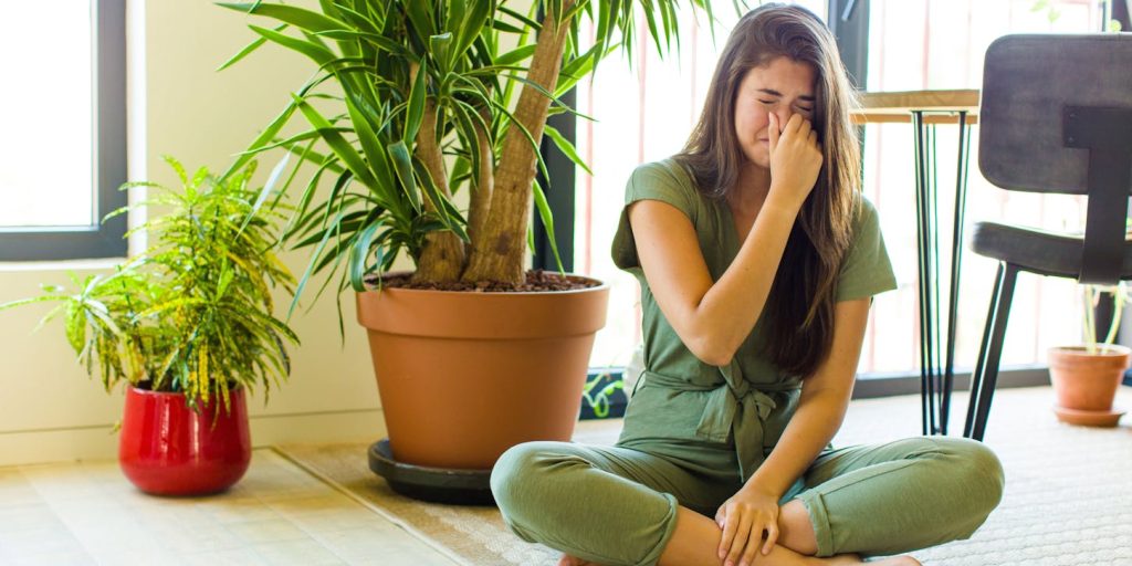 Persistent Bathroom Odors - Remove Causes Before Smells Return